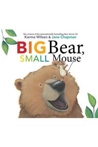 Big Bear, Small Mouse