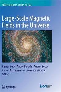 Large-Scale Magnetic Fields in the Universe