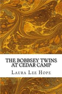 Bobbsey Twins at Cedar Camp