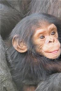 Baby Chimpanzee Journal