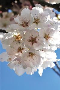 Cherry Blossom Journal