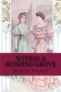 Within A Budding Grove