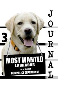 Most Wanted Labrador Journal
