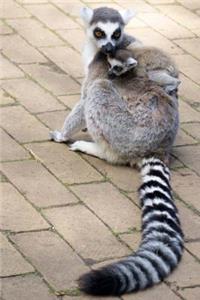 Awesome Mother and Baby Ring-Tailed Lemurs Animal Journal
