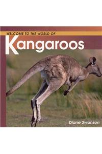 Welcome to the World of Kangaroos