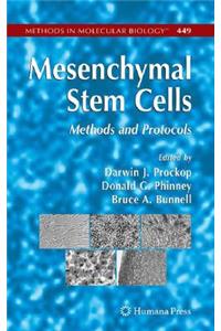 Mesenchymal Stem Cells