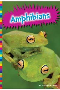 Amphibians