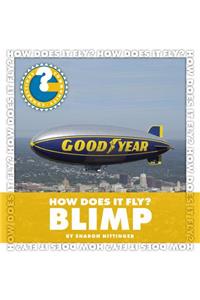 How Does It Fly? Blimp