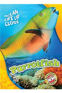 Parrotfish