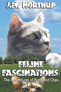 Feline Fascinations