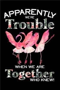 Apparently We're Trouble When We Are Together who knew!