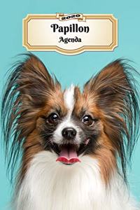 2020 Papillon Agenda