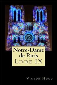 Notre-Dame de Paris (Livre IX)