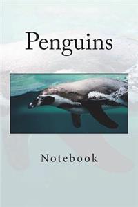 Penguins
