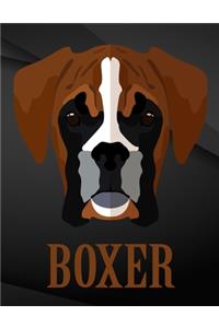 Boxer.