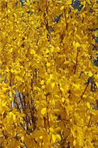 2019 Daily Planner Forsythia Bush Up Close 384 Pages