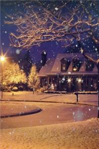 Winter Journal