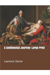 A Sentimental Journey: Large Print