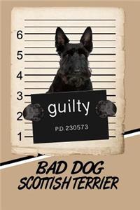 Bad Dog Scottish Terrier