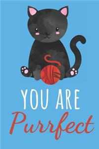 You Are Purrfect