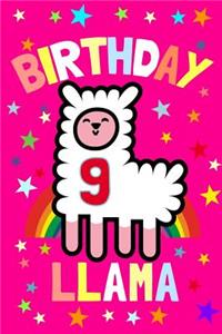 Birthday Llama 9