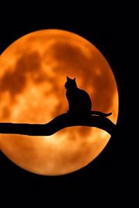 Talking to the Moon
