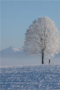 A Solitary Tree in a Snow Covered Field Winter Landscape Journal