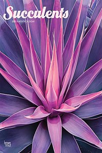 Succulents 2022 Square