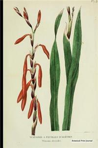 Botanical Print Journal