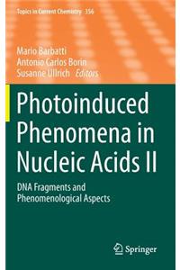 Photoinduced Phenomena in Nucleic Acids II