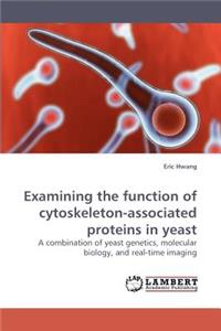 Examining the function of cytoskeleton-associated proteins in yeast