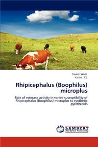 Rhipicephalus (Boophilus) microplus