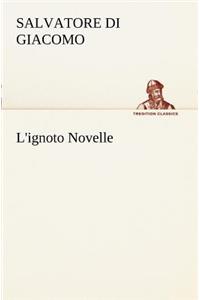 L'ignoto Novelle