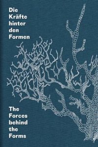 The Forces Behind the Forms