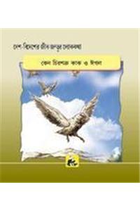 Desh-Videsh Ke Jeev-Jantuon Ki Lok-Kathaen - Kauva Aur Baaj Me Dushmani Kyon