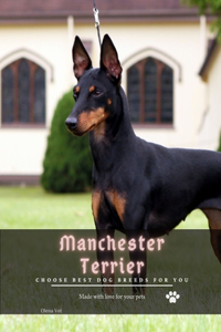 Manchester Terrier