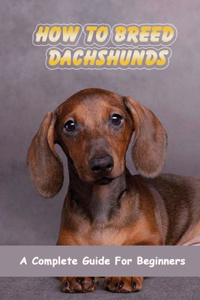 How To Breed Dachshunds