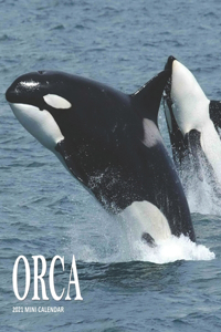 Orca