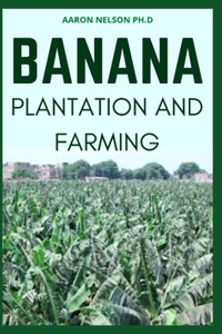 Banana Plantation and Farming