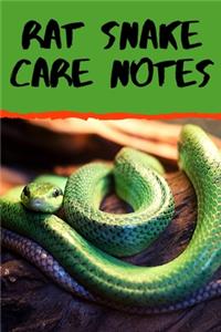 Rat Snake Care Notes