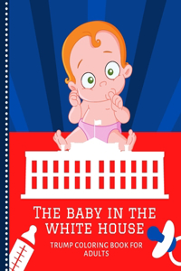 Baby In The White House