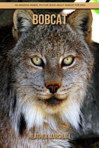 Bobcat