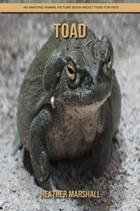 Toad