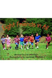 Ready Readers, Stage 1, Book 44, Eight Friends in All, Big Book