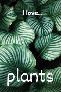 I Love Plants
