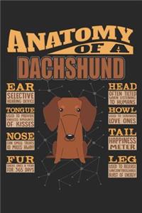 Anatomy Of A Dachshund