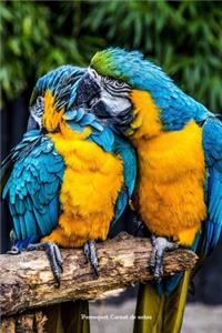 Perroquet Carnet de notes