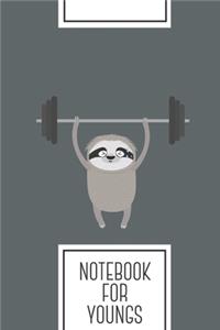 Notebook for Youngs