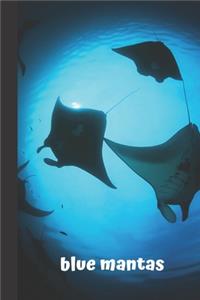 Blue Mantas