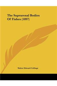The Suprarenal Bodies Of Fishes (1897)